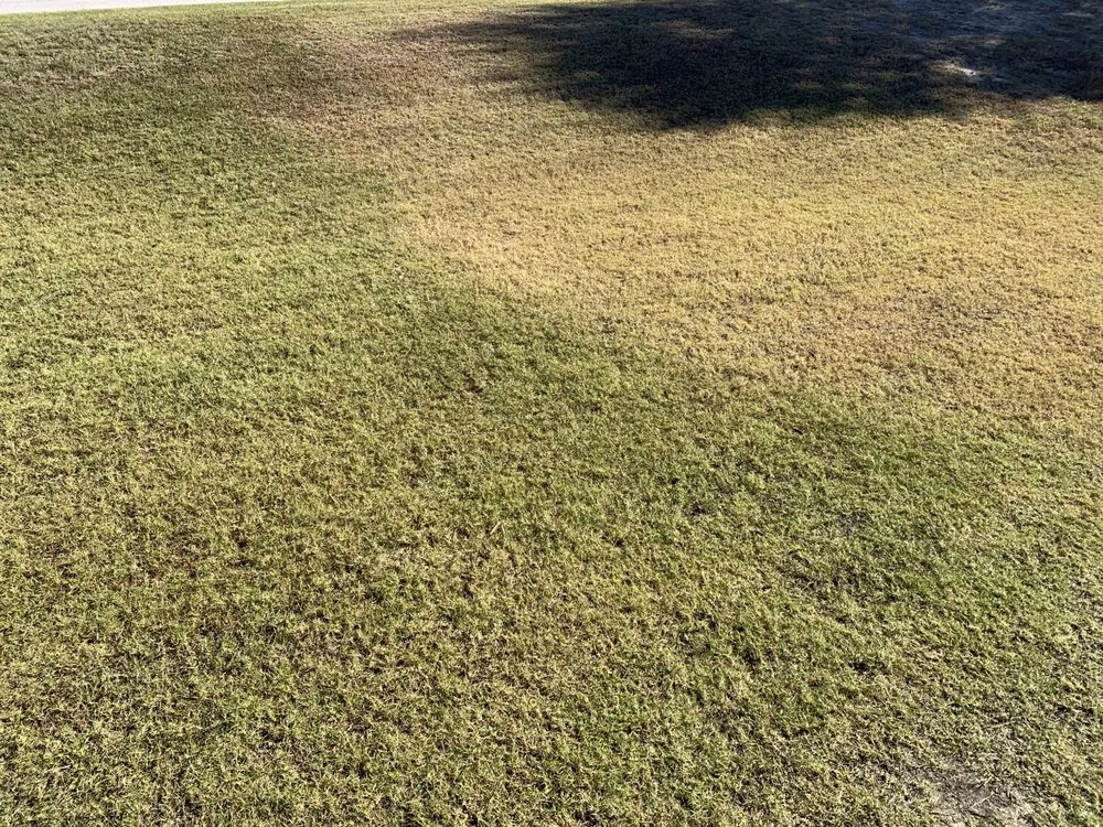 Local yard maintenance in Smiths Station, AL by Gregs Green Grass