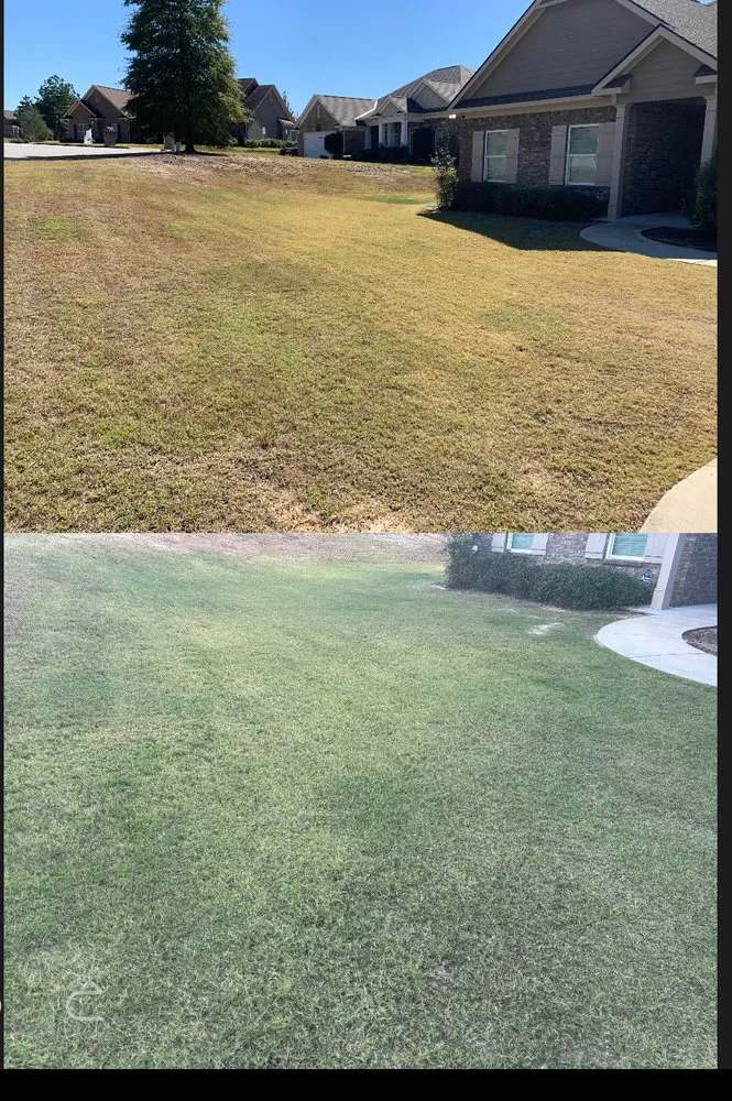 Reliable yard maintenance experts serving Smiths Station, AL - Gregs Green Grass