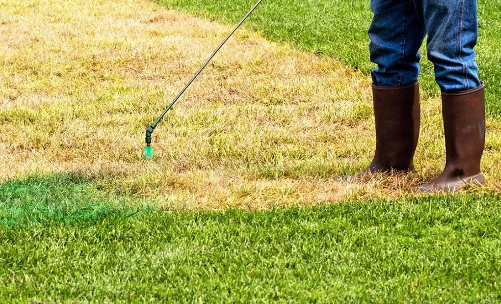 Custom lawn mowing service for outdoor upgrades in Smiths Station, AL by Gregs Green Grass