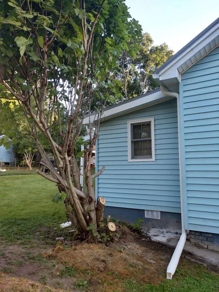 Custom landscape design in Trion, GA by Greg's landscape and lawncare