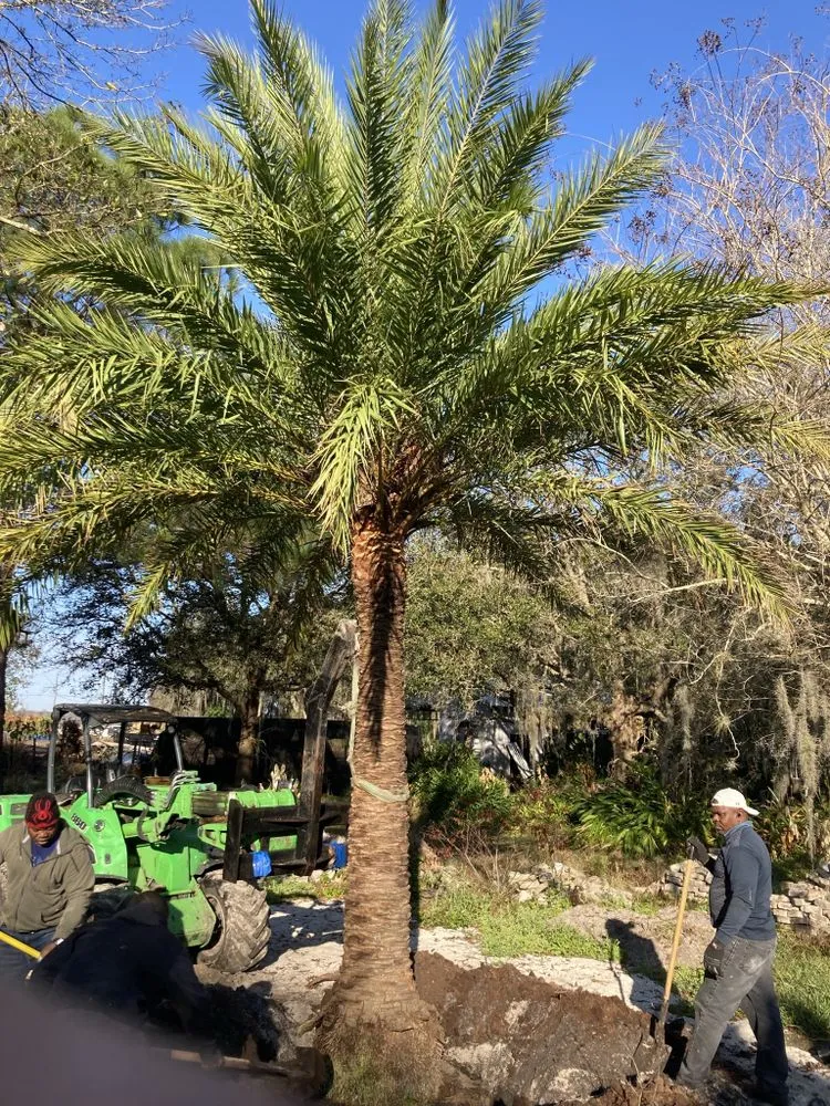 Expert yard maintenance experts serving Parrish, FL - Gregs Landscape