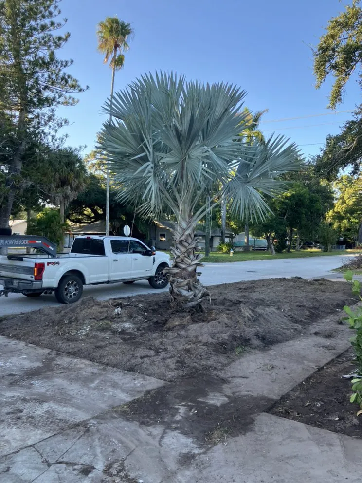 Top-rated yard maintenance in Parrish, FL - Gregs Landscape