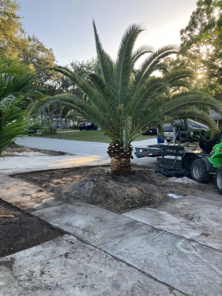 Expert landscape installation for beautiful yards across Parrish, FL - Gregs Landscape