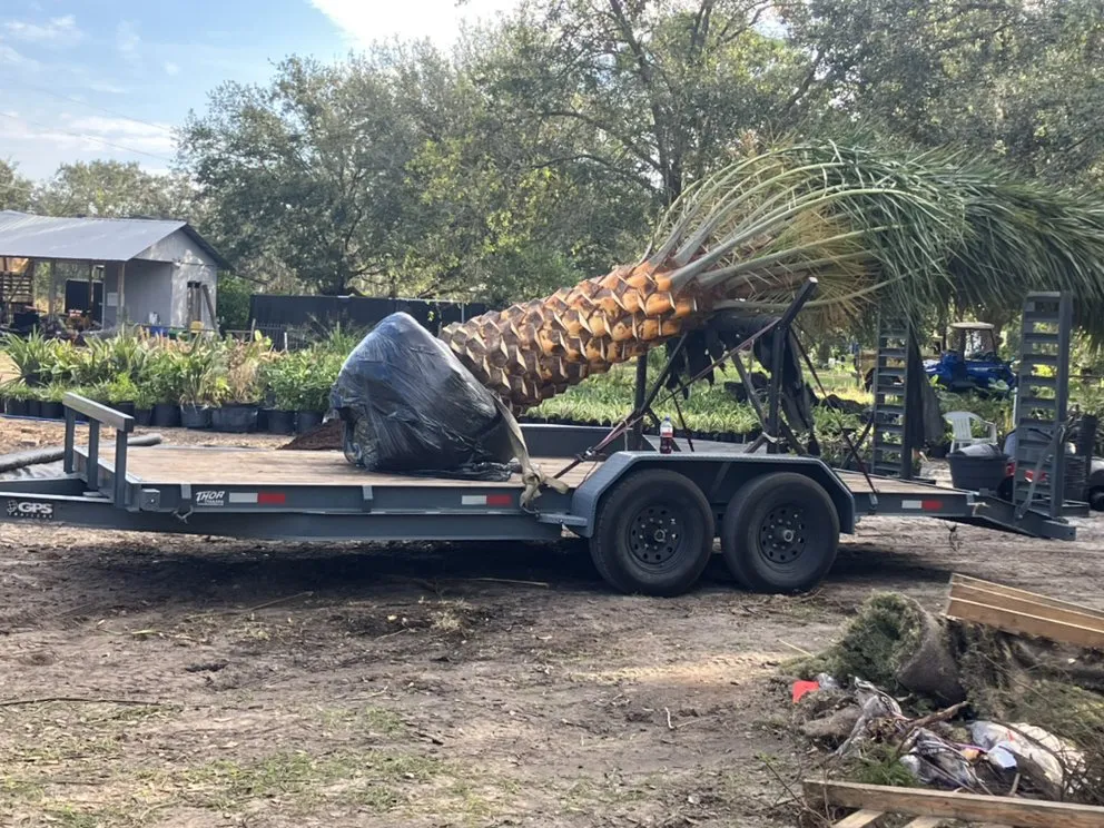 Affordable yard cleanup service for beautiful yards across Parrish, FL - Gregs Landscape