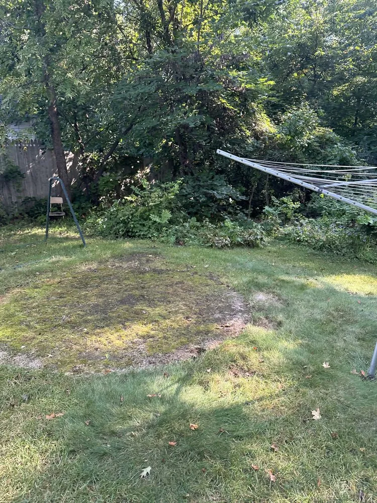 Local residential landscaping in East Moline, IL - Greg's Landscaping And Much More