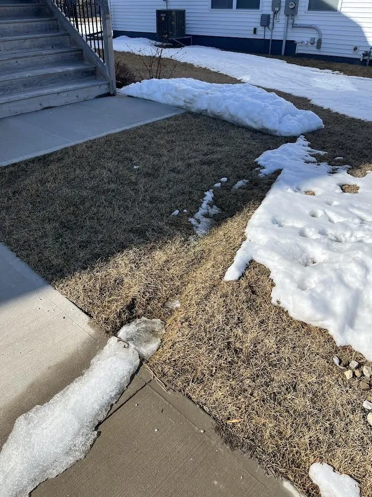 Expert yard cleanup service in Cedar Rapids, IA by Greg's Lawn & Landscaping