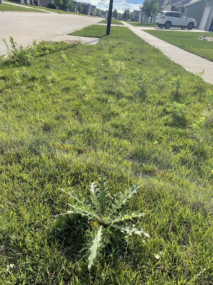 Top-rated yard cleanup service near you in Cedar Rapids, IA by Greg's Lawn & Landscaping