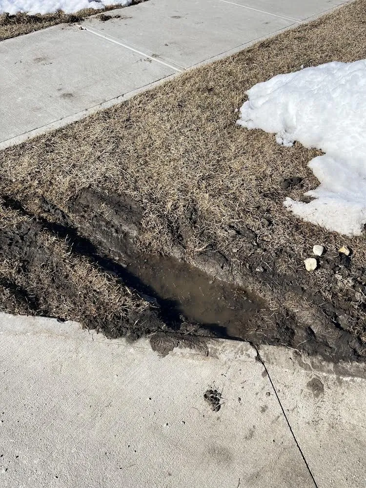 Expert lawn mowing service with custom design across Cedar Rapids, IA - Greg's Lawn & Landscaping