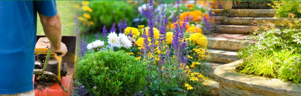 Top-rated yard maintenance experts serving Clinton, IA - Greg's Lawn Care