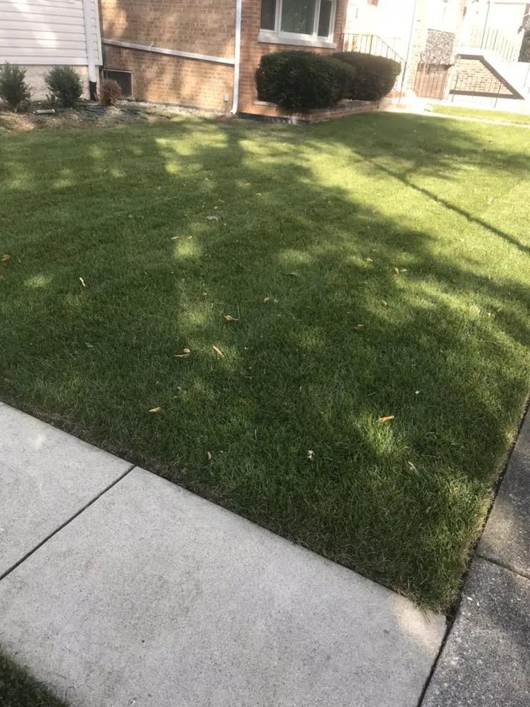 Reliable yard cleanup service near you across Chicago, IL - Greg’s Lawn Maintenance