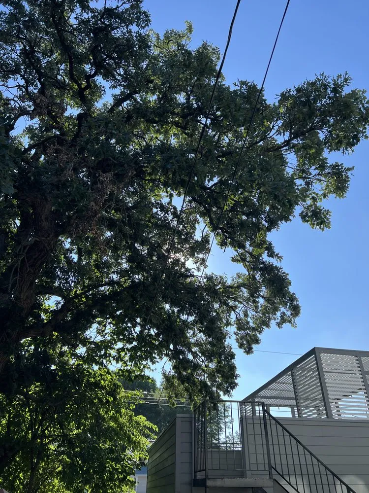 Reliable landscaping services in Chicago, IL - Greg’s Lawn Maintenance