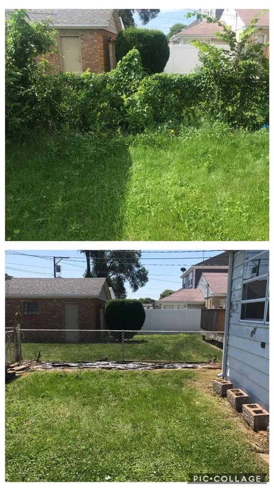 Affordable landscape design in Chicago, IL by Greg’s Lawn Maintenance