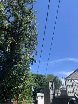 Greg’s Lawn Maintenance Logo