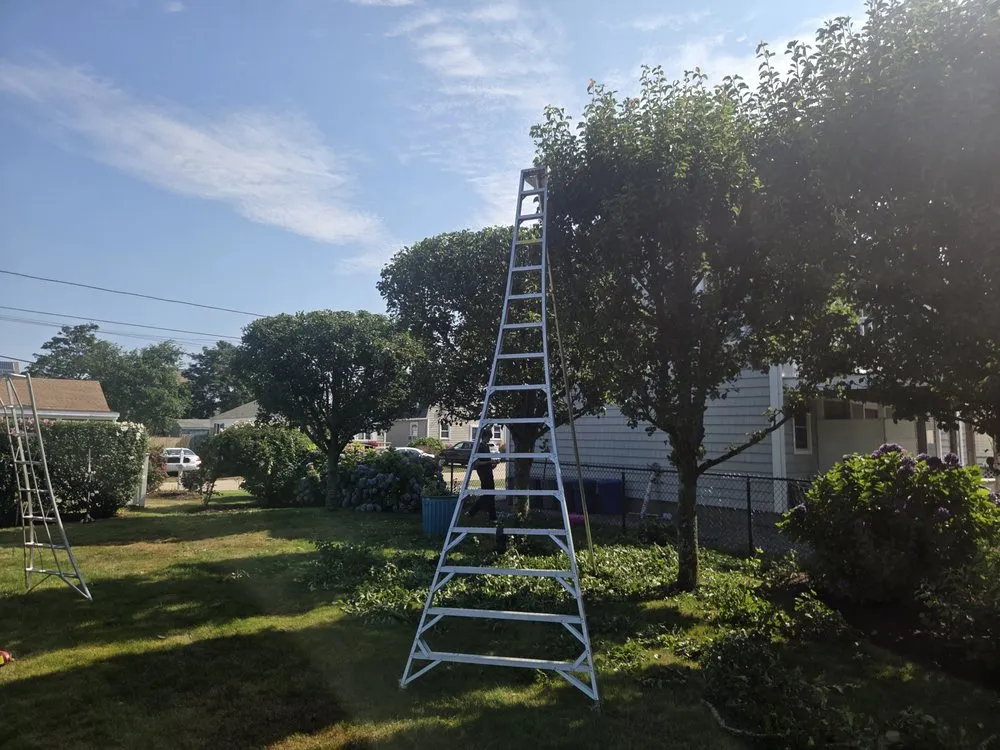 Affordable yard maintenance experts serving South Kingstown, RI - Greg’s Property Service & Landscaping