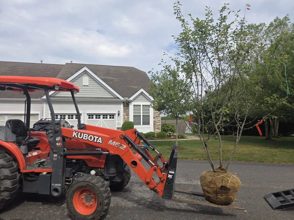 Custom yard cleanup service experts serving South Kingstown, RI - Greg’s Property Service & Landscaping