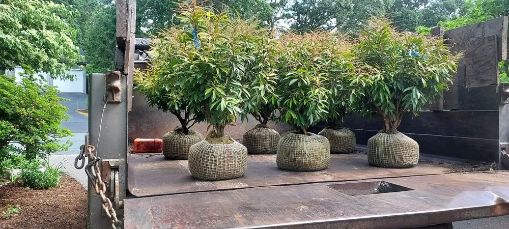 Local garden landscaping for year-round maintenance in South Kingstown, RI by Greg’s Property Service & Landscaping