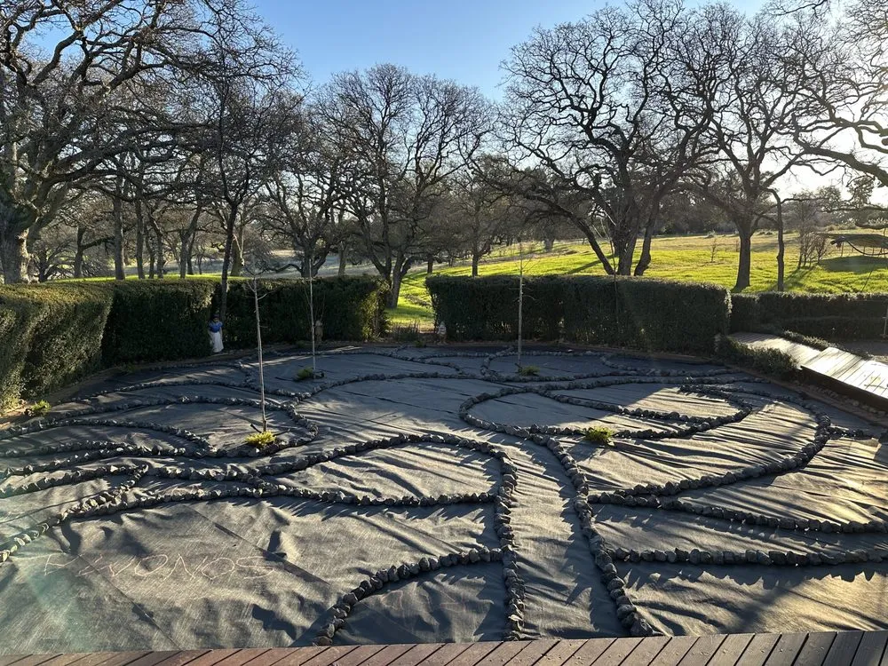 Professional landscape design near you in Winters, CA by Greg's Rototilling & Landscaping