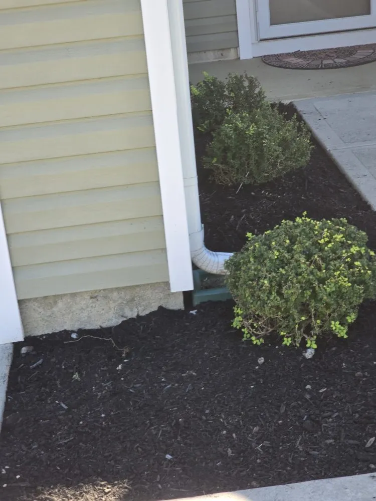 Affordable yard cleanup service for beautiful yards across Obetz, OH - Greg's Way