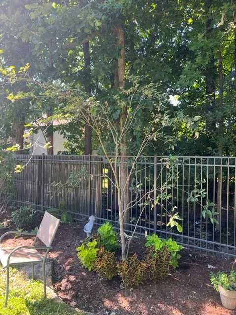 Reliable residential landscaping for year-round maintenance across Columbus, OH - Greiner Landscaping