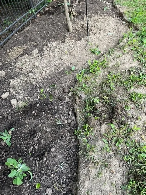 Reliable yard cleanup service in Columbus, OH - Greiner Landscaping