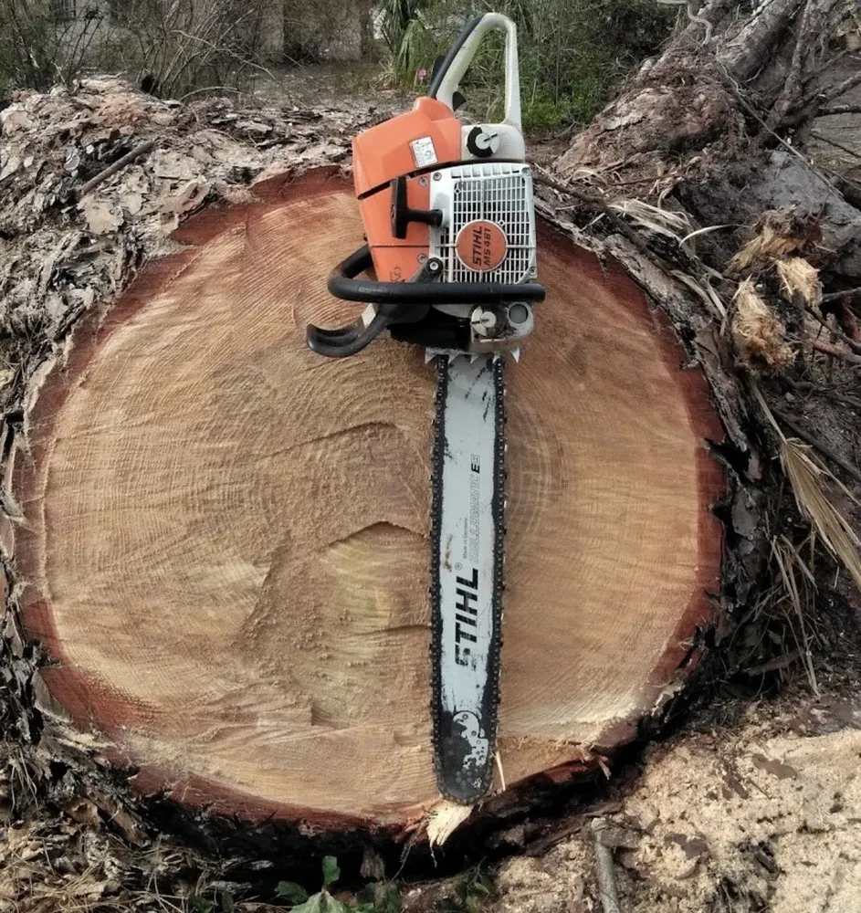 Trusted yard cleanup service in Haines City, FL by Grelite Tree Service