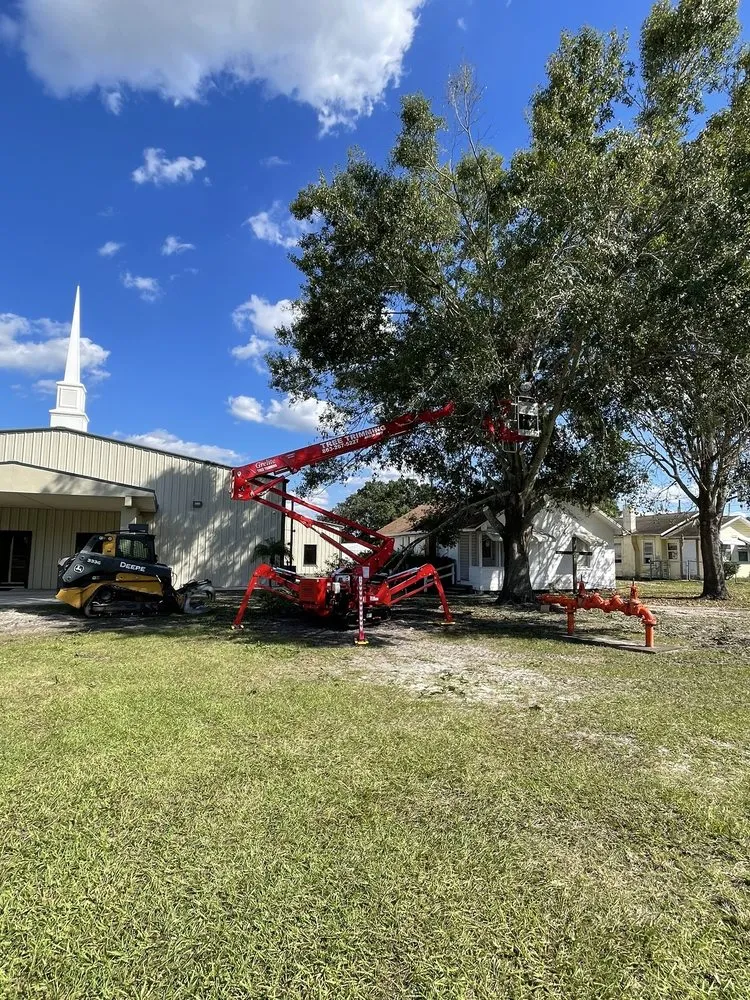 Professional landscaping services experts serving Haines City, FL - Grelite Tree Service
