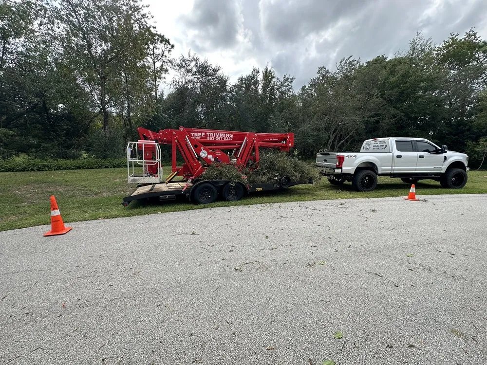 Trusted landscape design in Haines City, FL - Grelite Tree Service
