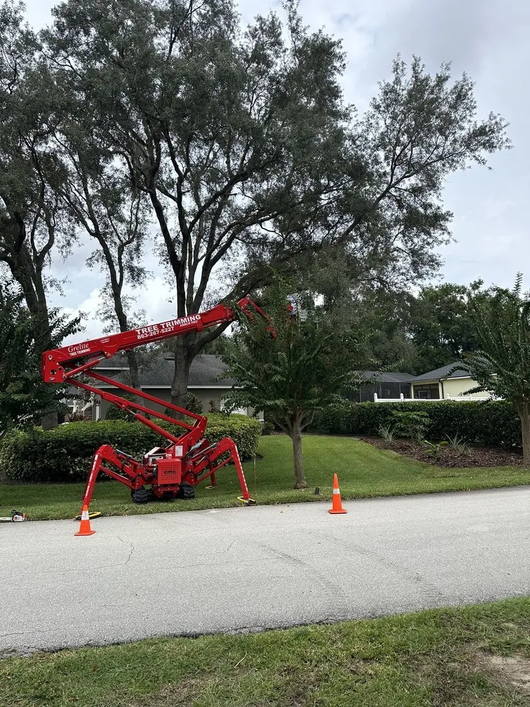 Professional landscape installation for year-round maintenance across Haines City, FL - Grelite Tree Service