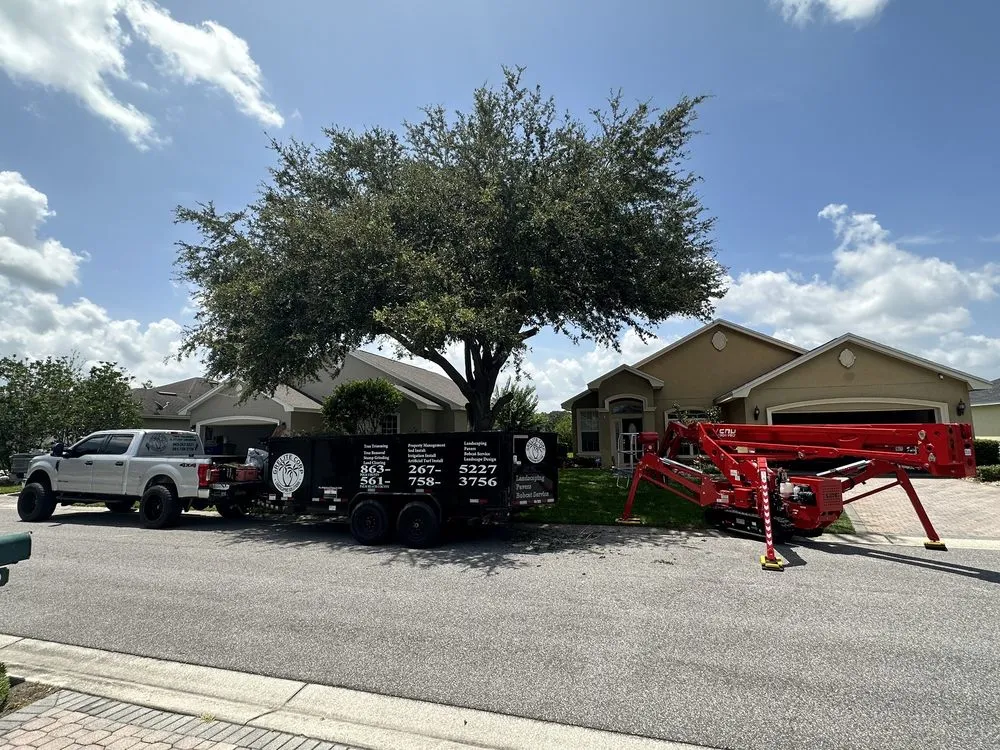 Reliable lawn care service with custom design in Haines City, FL by Grelite Tree Service
