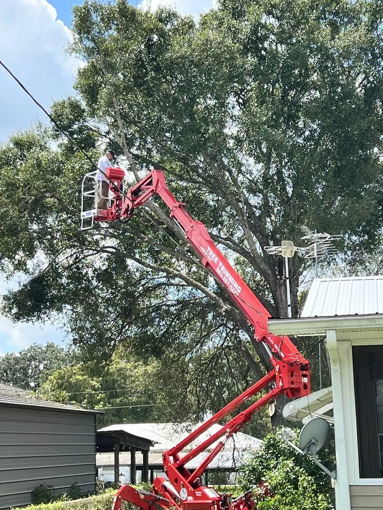 Trusted outdoor landscaping for beautiful yards across Haines City, FL - Grelite Tree Service