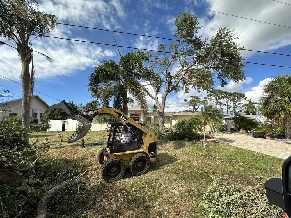 Professional landscaping services in Haines City, FL - Grelite Tree Service