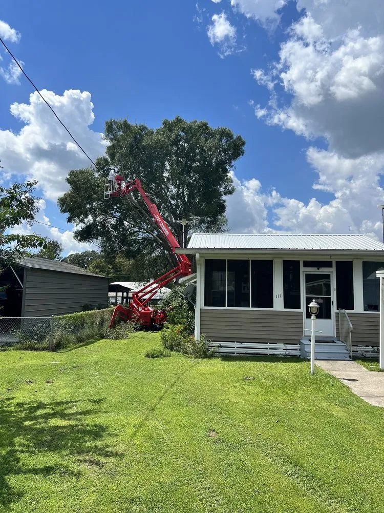 Trusted garden landscaping experts serving Haines City, FL - Grelite Tree Service