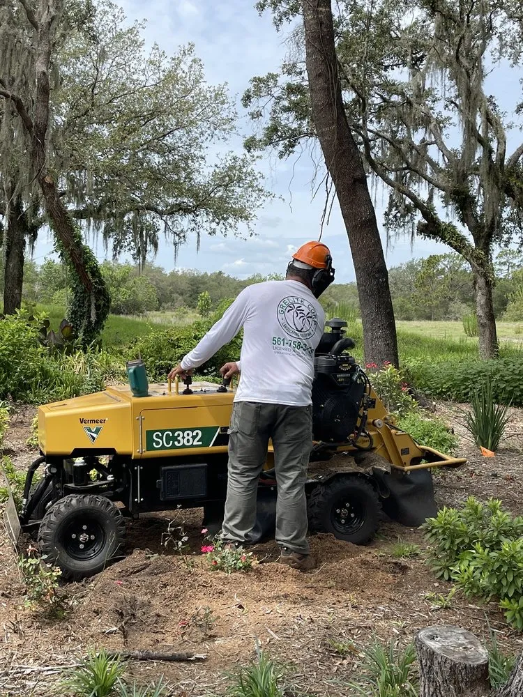 Professional yard maintenance in Haines City, FL by Grelite Tree Service
