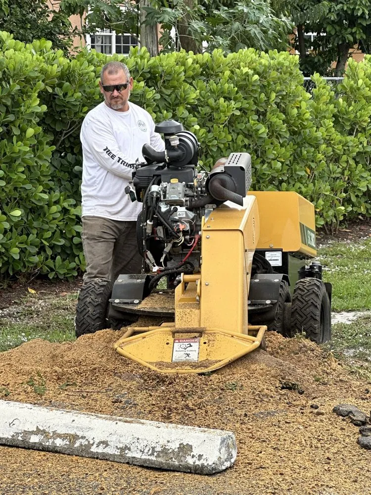 Expert landscaping services for year-round maintenance across Haines City, FL - Grelite Tree Service