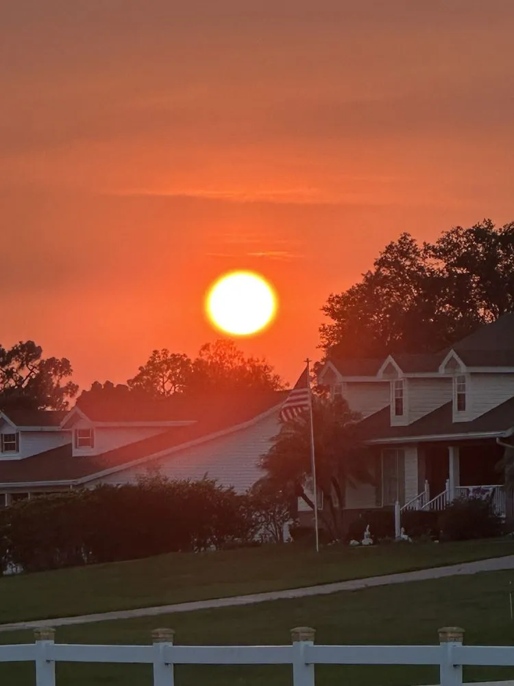 Trusted lawn care service in Haines City, FL - Grelite Tree Service