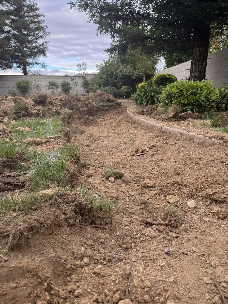 Expert lawn care service in Bakersfield, CA by Gremlin Excavation and Landscaping Services