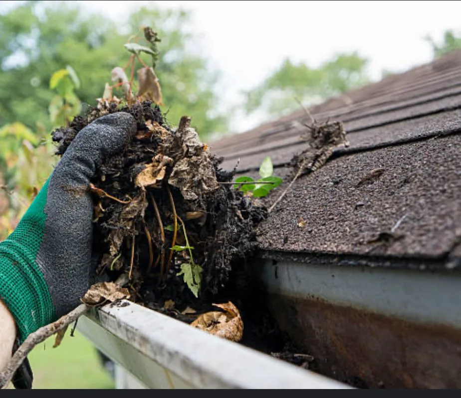 Expert lawn mowing service for year-round maintenance across Mount Vernon, WA - Grenier Home services