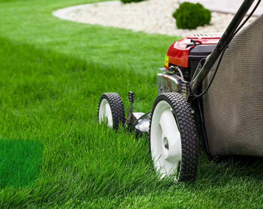 Reliable landscape installation for beautiful yards across Mount Vernon, WA - Grenier Home services