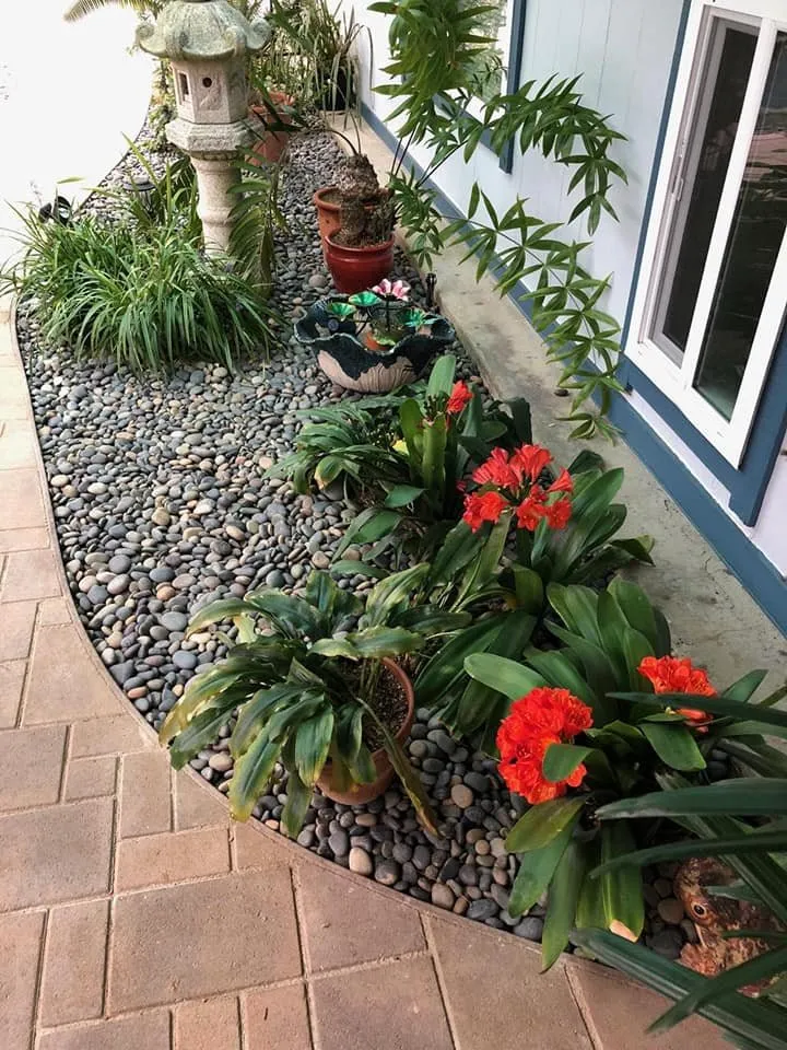 Custom yard cleanup service for residential properties in Leucadia, CA by Gresham Landscape and Design