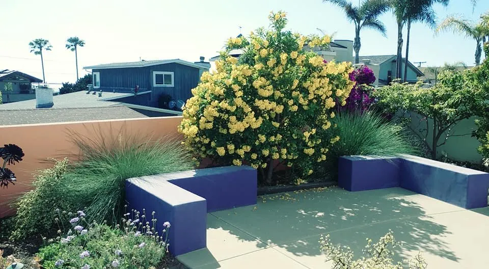 Professional landscaping services in Leucadia, CA by Gresham Landscape and Design
