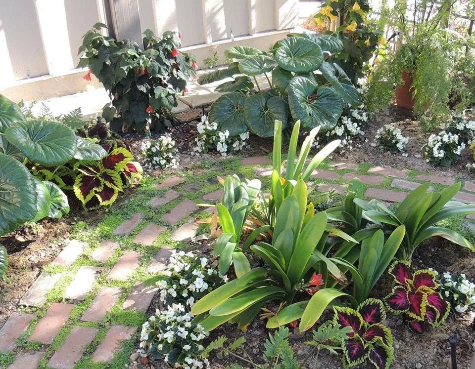 Affordable lawn mowing service in Leucadia, CA by Gresham Landscape and Design