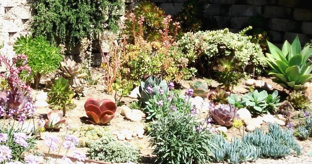 Trusted yard maintenance for beautiful yards across Leucadia, CA - Gresham Landscape and Design