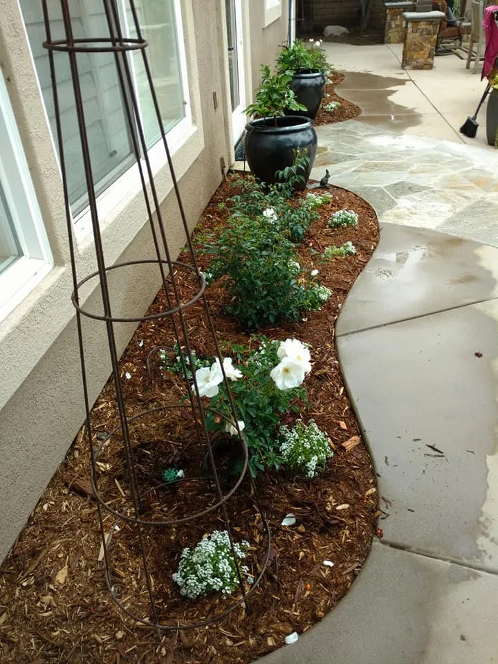 Trusted garden landscaping for year-round maintenance across Leucadia, CA - Gresham Landscape and Design