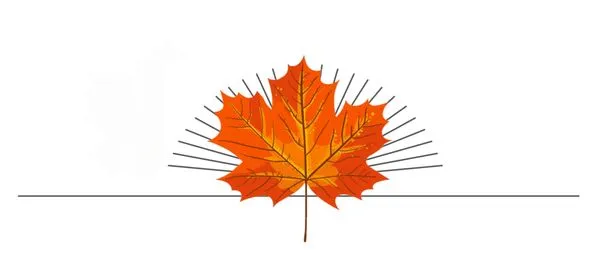 Gretna Valley Landscape