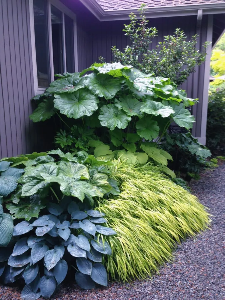 Top-rated landscape design for residential properties in Lake Forest Park, WA by Grew Up Green