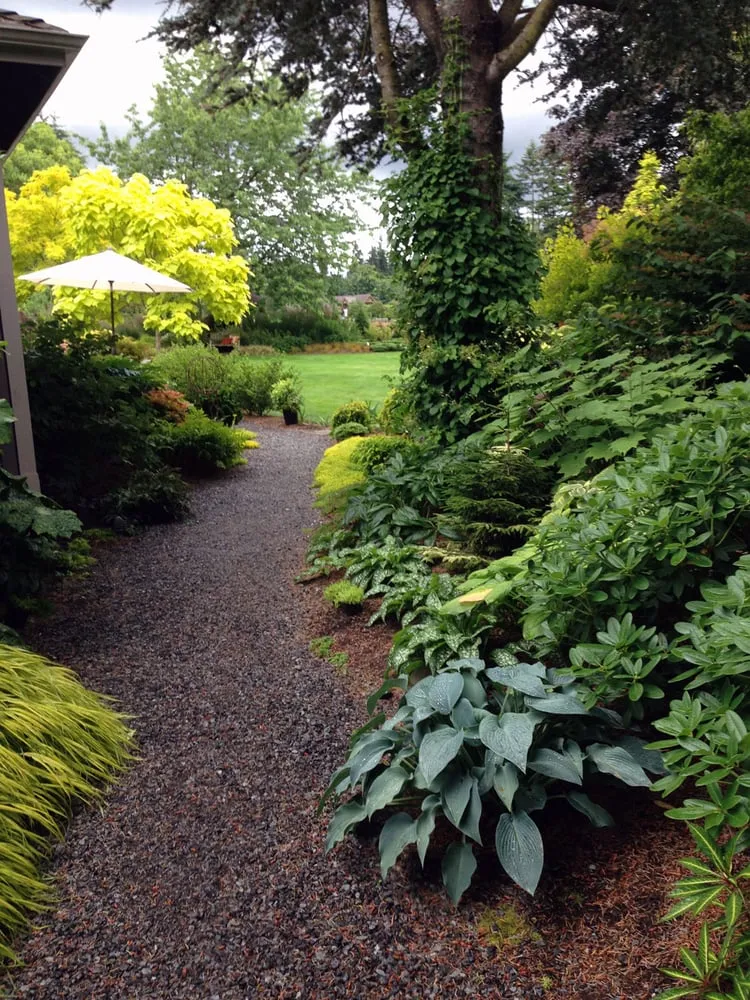 Local garden landscaping for homes in Lake Forest Park, WA by Grew Up Green