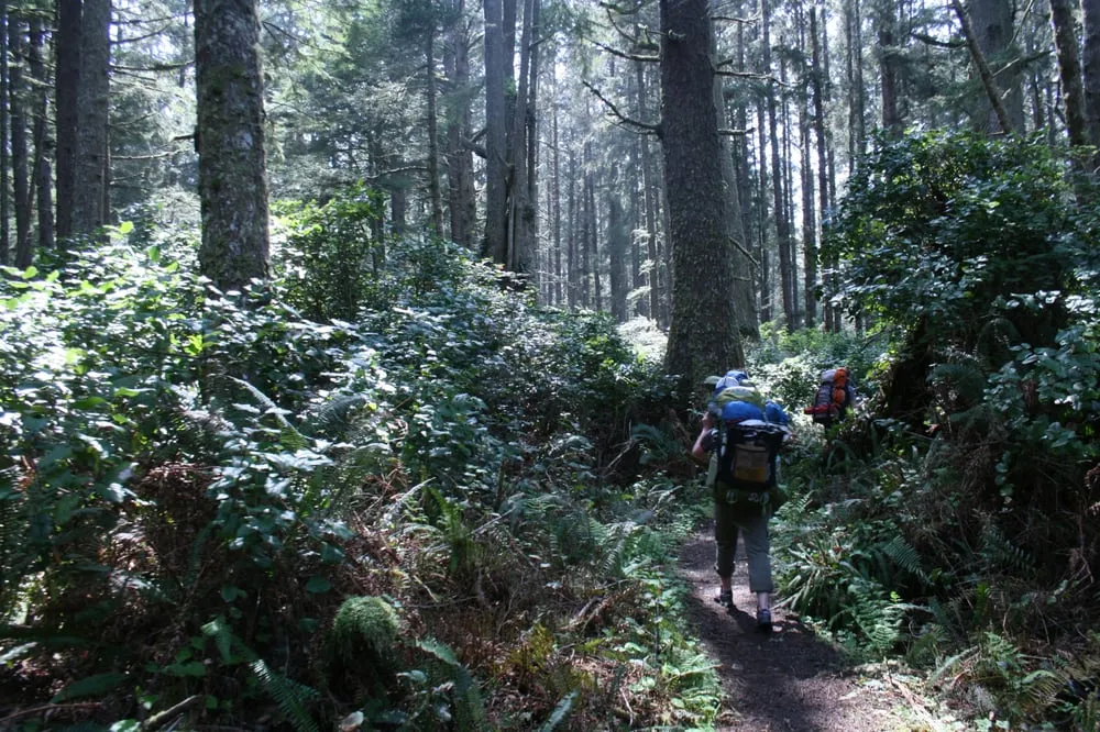 Expert lawn mowing service for beautiful yards across Lake Forest Park, WA - Grew Up Green