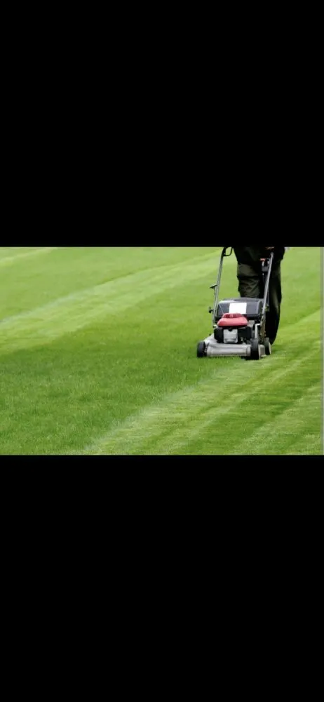 Trusted residential landscaping in Bremen, IN by Grey Beard Lawncare