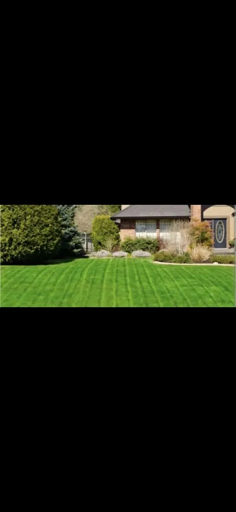 Professional outdoor landscaping in Bremen, IN - Grey Beard Lawncare