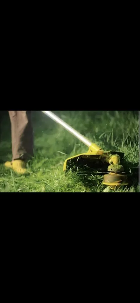 Top-rated yard cleanup service in Bremen, IN by Grey Beard Lawncare